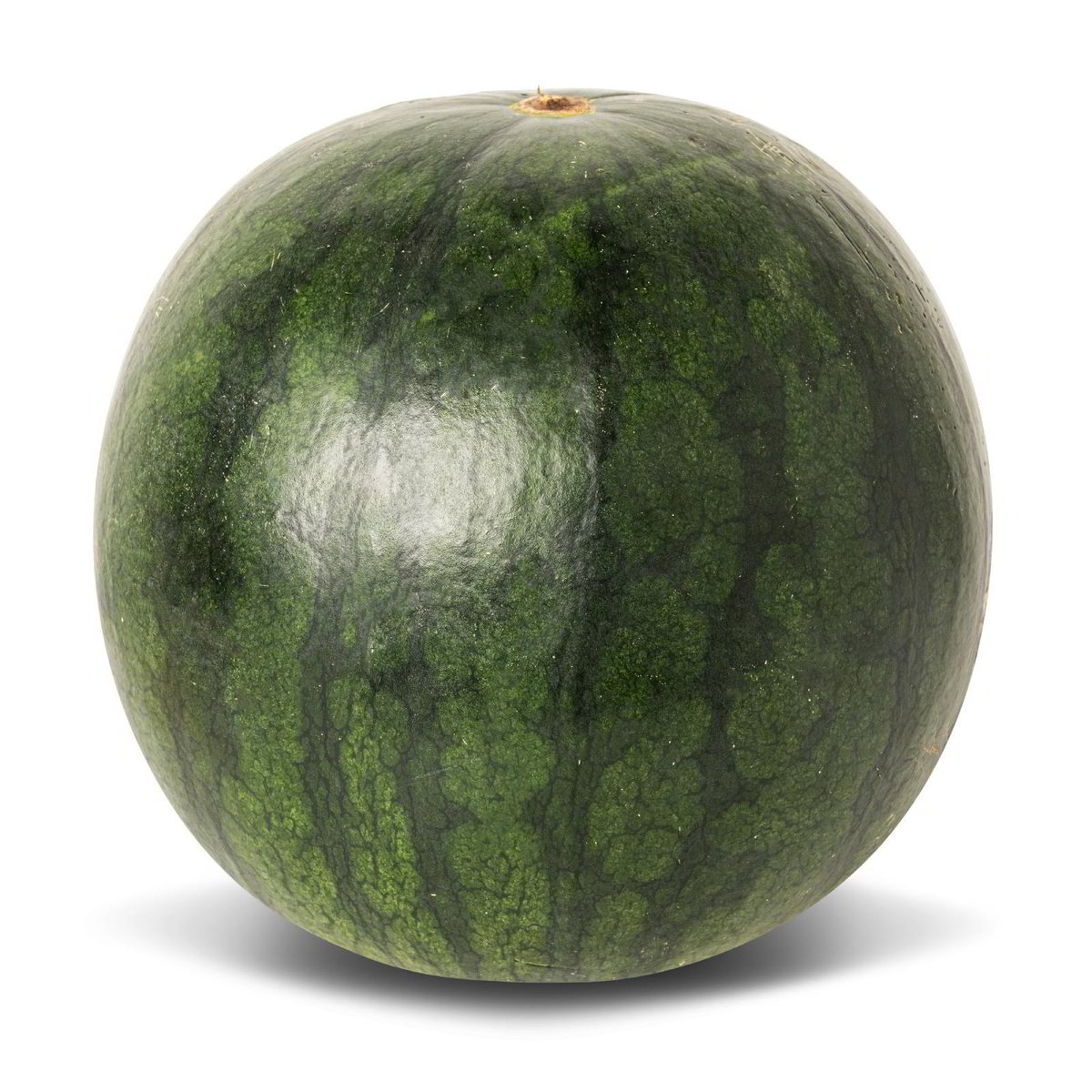 Anguria Ta Anguria AMO ESSERE ECCELLENTE 8kg in dettaglio